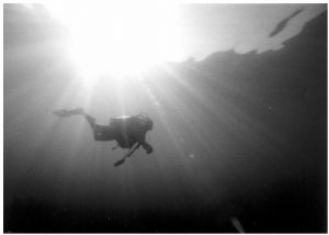 Diver, Maldives, Sea&Sea SX 1000, 14mm by Phil Lenz 